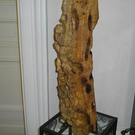 Vivre Nature Au Chateau * 푸아티에