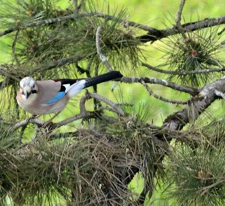 Vivre Nature Au Chateau 푸아티에